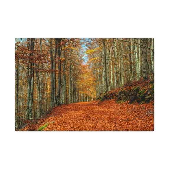 Path Through Red & Orange Autumn Park Nature Wilderness Photography Canvas Wall Art for Home Decor Ready-to-Hang