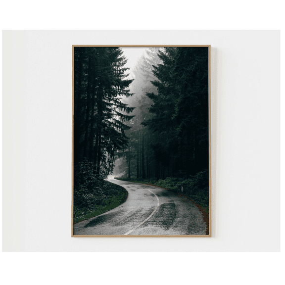Path Through The Woods Photo Poster Foggy Dark Forest Nature Wall Art Pine Poster Landscape Photography Road Forest Photo Nature Wild P10019