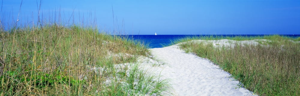Path To Beach Venice Florida USA Canvas Art - Panoramic Images (36 x 12)