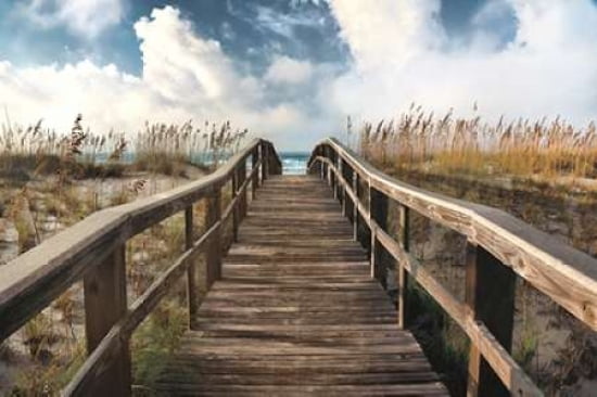 Path To Paradise Canvas Art - Michael Cahill (12 x 18)