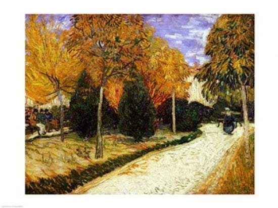 Path in the Park at Arles 1888 Canvas Art - Vincent Van Gogh (24 x 18)