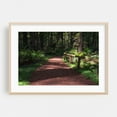 thumbnail image 1 of Path of Spiritual Serenity - California Photography Oak Framed Wall Art Print 16 x 24 inches, 1 of 6