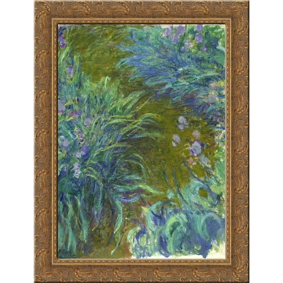 Path through the Irises 02 20x24 Gold Ornate Wood Framed Canvas Art by Monet, Claude