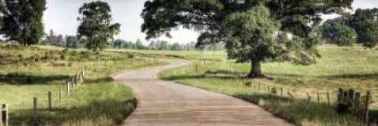 Path to a Perfect Place Canvas Art - Todd McPhetridge (12 x 36)