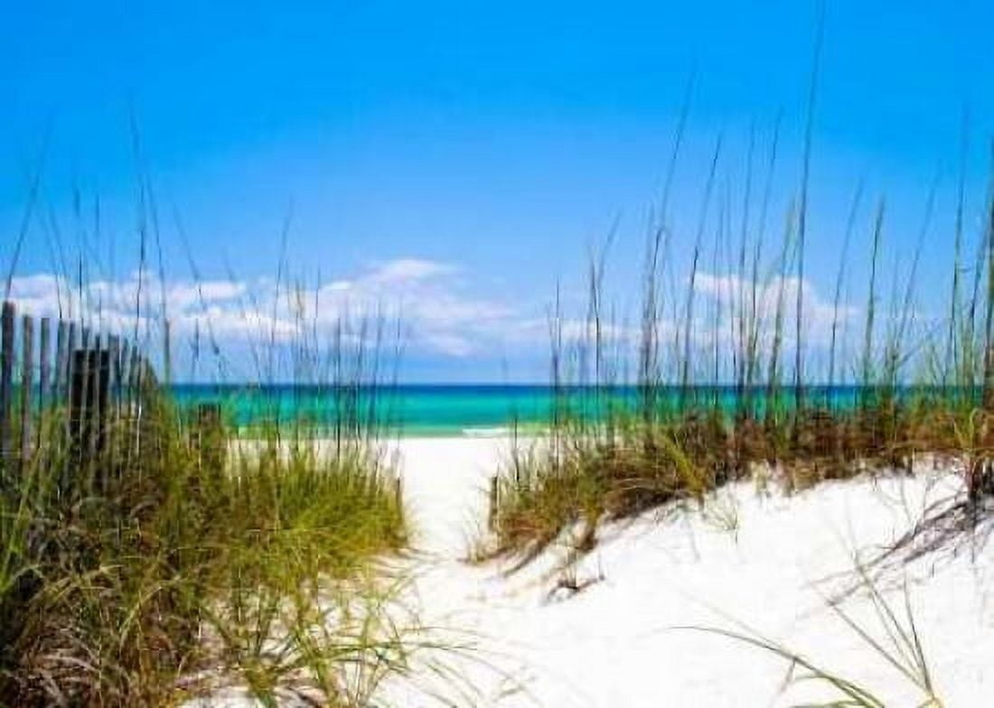 Path to the Beach Canvas Art - Lillian Turner (20 x 28)