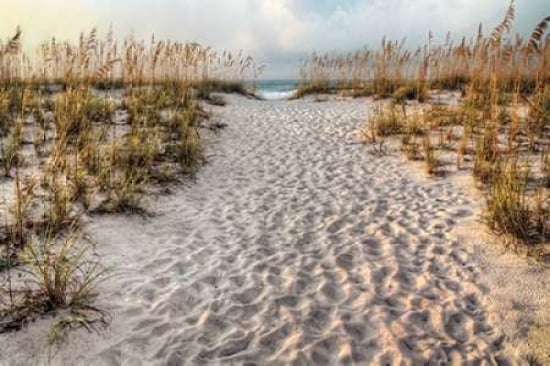 Path to the Beach Canvas Art - Michael Cahill (12 x 18)