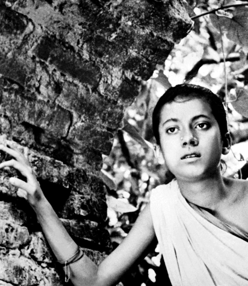 Pather Panchali Canvas Art - (16 x 20)