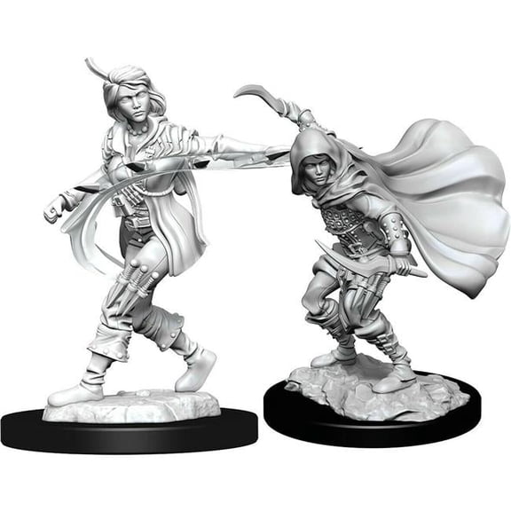 Pathfinder Deep Cut Human Rogue Female W14 Miniature