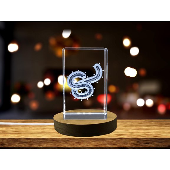 Pathogen Profile: 3D Engraved Crystal Ebola Virus Germ