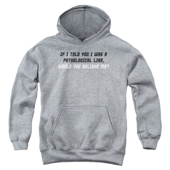 - Pathological Liar - Youth Hooded Sweatshirt - Large