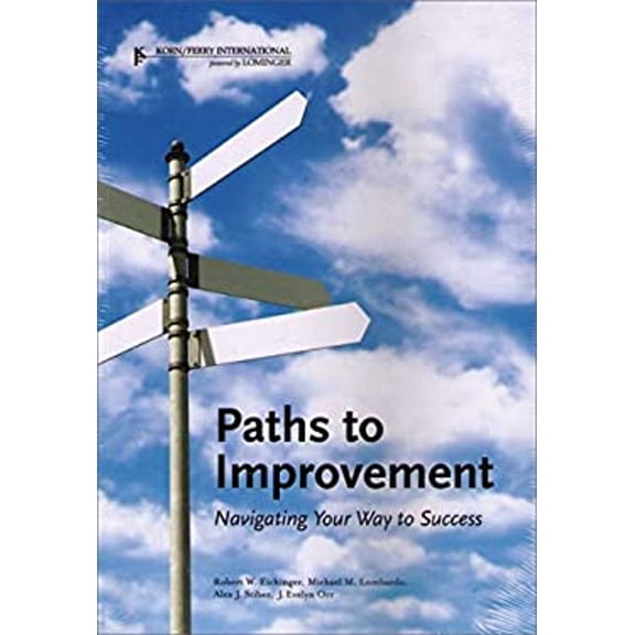 Pre-Owned Paths to Improvement Navigating your Way to Success (Paperback) 1933578319 9781933578316