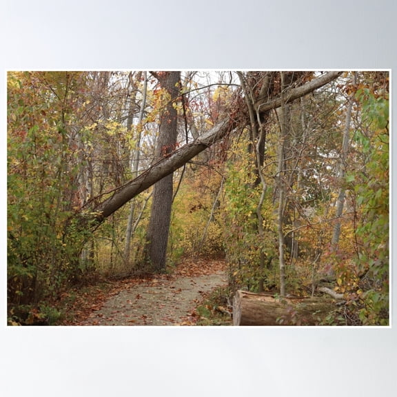 Pathway: One Poster Wall Art, Modern Wall Decor, 8x12 UNFRAMED