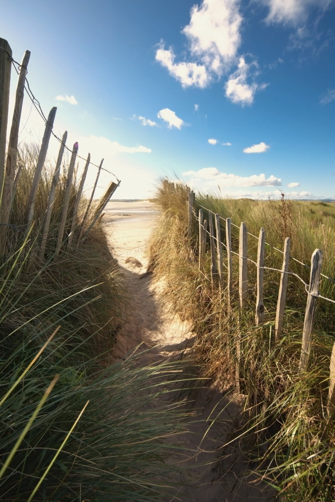 Pathway To The Beach Beadnell Northumberland England Canvas Art - John Short Design Pics (12 x 19)