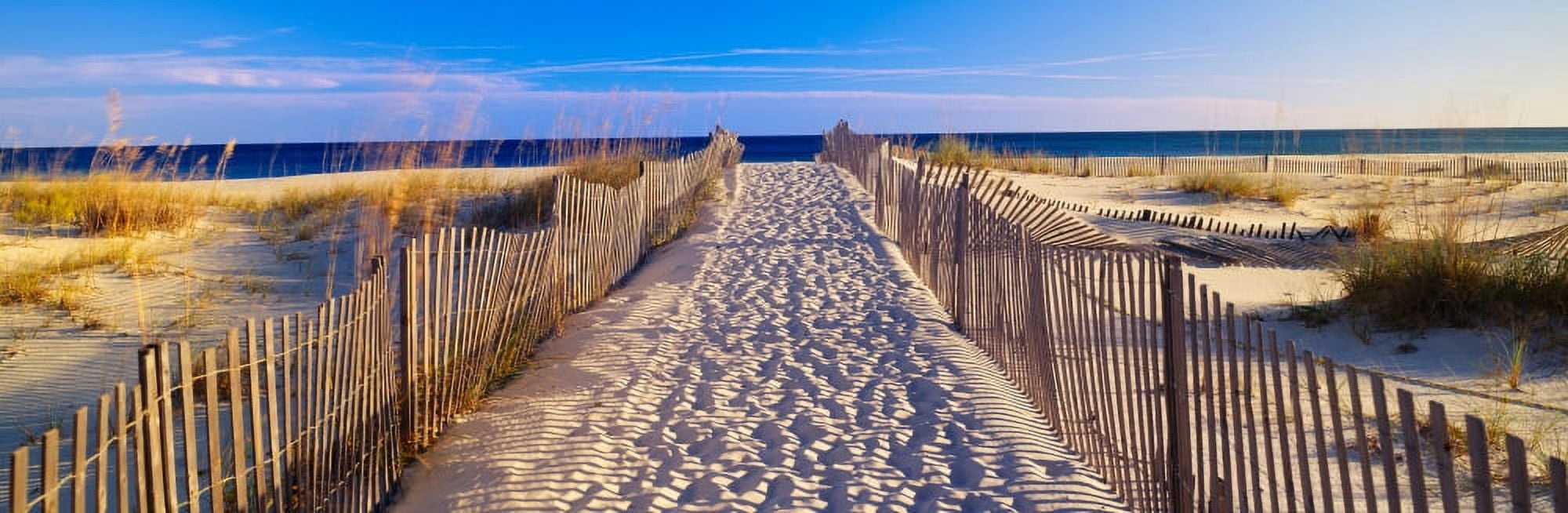 Pathway and sea oats on beach at Santa Rosa Island near Pensacola Florida Canvas Art - Panoramic Images (27 x 9)