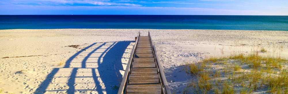 Pathway and sea oats on beach at Santa Rosa Island near Pensacola Florida Canvas Art - Panoramic Images (36 x 12)