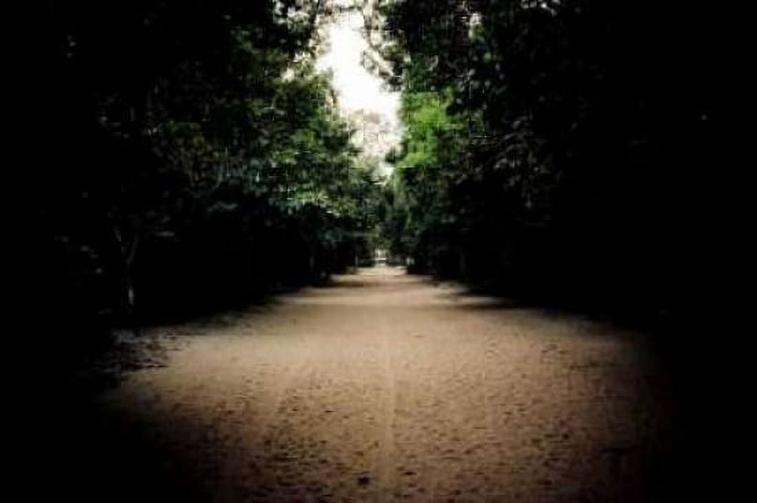 Pathway at Preah Khan Canvas Art - Erin Berzel (12 x 18)