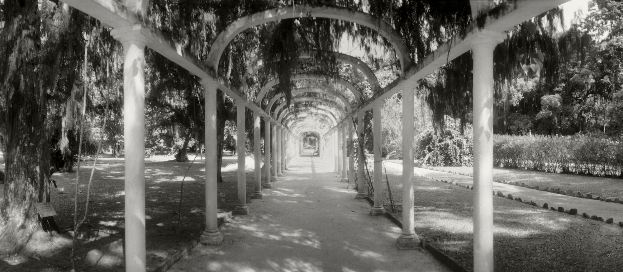 Pathway in a botanical garden Jardim Botanico Zona Sul Rio de Janeiro Brazil Canvas Art - Panoramic Images (27 x 9)