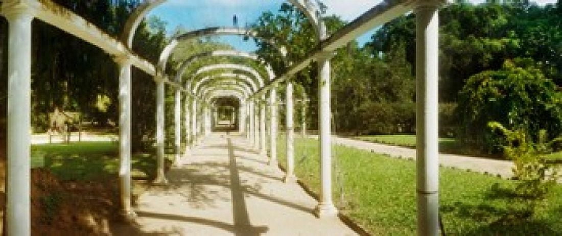 Pathway in a botanical garden Jardim Botanico Zona Sul Rio de Janeiro Brazil Canvas Art - Panoramic Images (30 x 13)