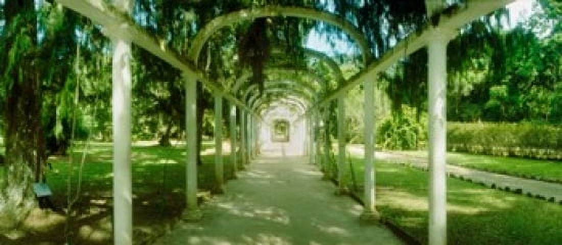 Pathway in a botanical garden Jardim Botanico Zona Sul Rio de Janeiro Brazil Canvas Art - Panoramic Images (30 x 14)