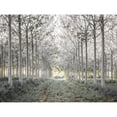 thumbnail image 1 of Pathway through trees in forest, FTBR-1833 Poster Print by Assaf Frank (24 x 18), 1 of 1