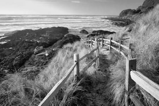 Pathway to Beach Canvas Art - Dennis Frates (24 x 36)