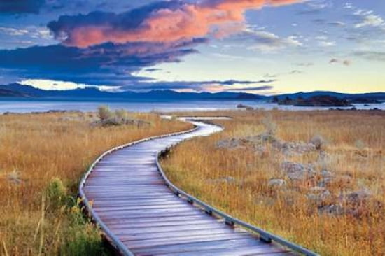 Pathway to Mono Lake Canvas Art - Dennis Frates (24 x 36)