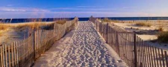 Pathway to the Beach Canvas Art - Joseph Sohm (10 x 20)