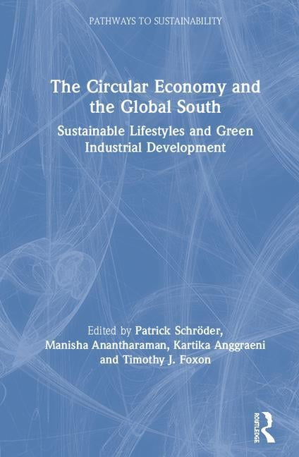 Pathways to Sustainability The Circular Economy and the Global South ...