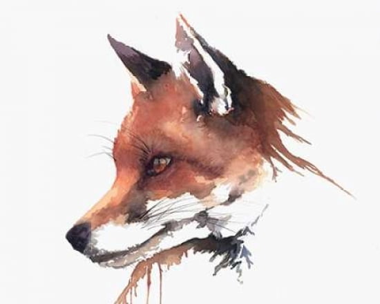 Patience Canvas Art - Sarah Stokes (24 x 30)