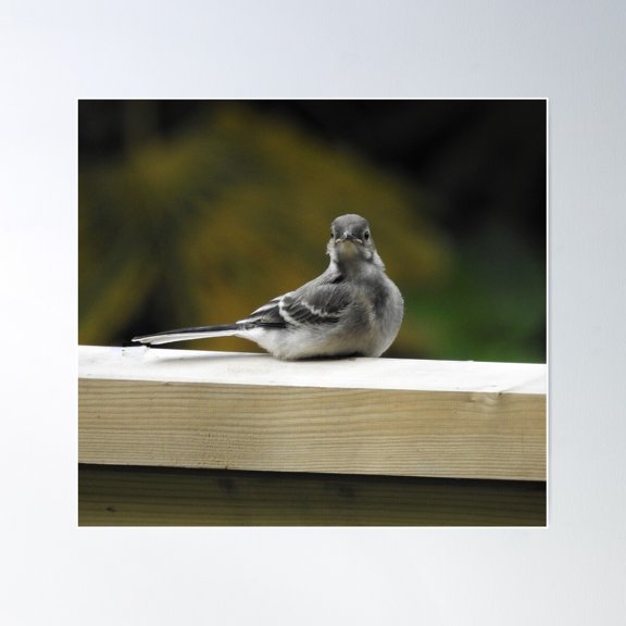 Patience Is A Virtue Poster Wall Art, Modern Wall Decor For Living Room Bedroom, 17x17 UNFRAMED