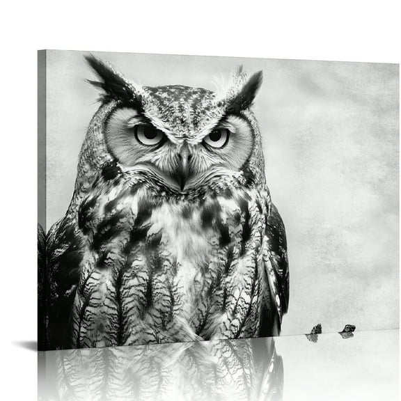 Patifu Black and White Owl Canvas Wall Decor Wild Animal Owls Picture Prints Rustic Bird Home Decor Artwork for Living Room Bedroom Bathroom Decorations Stretched and 20x16in