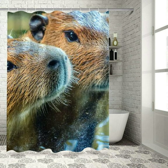 Patifu Capybaras Glass Window Water Shower Curtain 100% Polyester 36"x72