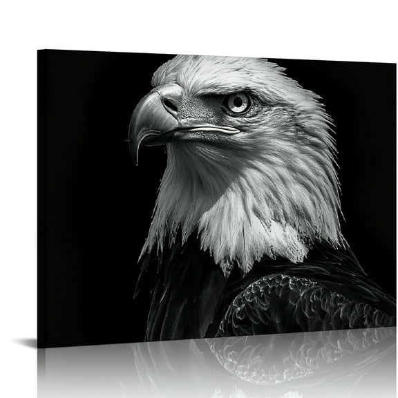 Patifu Cool Eagle Wall Art Decor for Bedroom Black and White Bald Eagle Picture, Awesome Wildlife Animal Canvas Prints Decor Artwork for Living Room Bathroom 20x16in