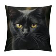 thumbnail image 1 of Patifu   Cute Black Cat Throw Pillow Covers  ,Black Kitten Kitty   Cushion Cases Decorative Pillow Cases for Couch Sofa Bedroom 12x12in, 1 of 5