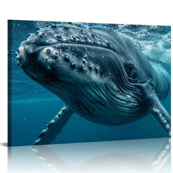 Patifu Humpback Whale Underwater Canvas Prints Modern Wall Art for Living Room Bedroom Bathroom Decor 24x16in
