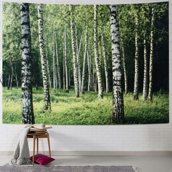 Patifu Landscape Tapestry King Size, Autumn Trees in Birch Forest September Time View Landscape Picture, Wall Hanging Cover Wall Decor, 40x30inch