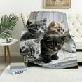 thumbnail image 1 of Patifu Little Cat Plush Blanket Lovely Pet Cats Sherpa Blanket Cat Lover's Animal Themed Design Fleece Throw Blanket for Sofa Couch Bed Room Decor Cute Kitten Print Fuzzy Blanket 40x50 Inch White, 1 of 6