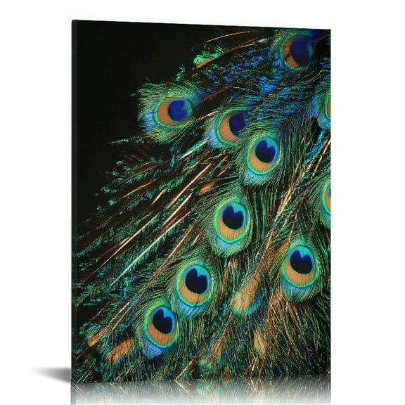 Patifu Peacock Feathers Canvas Prints Wall Art for Home Decor 12x16 in