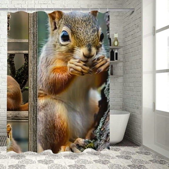 Patifu Squirrel Bathroom Décor Set with Hooks, Graphic Print Polyester Stylish Washable Shower Curtain, Chic Modern Bathroom Decor with Hooks, 100% Polyester Fiber 69"x72