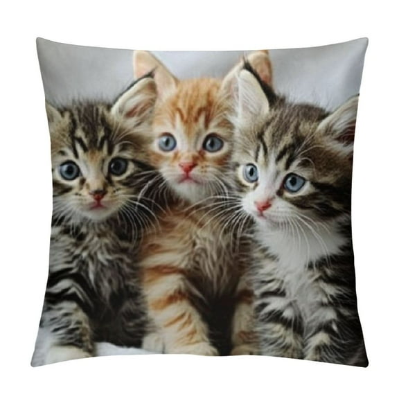 Patifu Throw Pillow Covers Cute Kittens Black and Orange Baby Cat,Set Square Decorative,Cushion Pillows Cover for Couch and Bed for Men/Women 12x12in