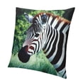 thumbnail image 1 of Patifu Zebra and giraffe print pillowcase for farmhouse home décor 22x22in, 1 of 5