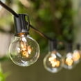 thumbnail image 1 of Patio & Bistro Lights Globe String Lights 2 in. Rice Light Bulbs 50 ft. Black Wire Clear, 1 of 3