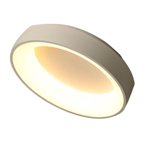 Patio Decor Bedroom Ceiling Light, LED Ceiling Light 100-265V Environmental Protection for Room White 30cm