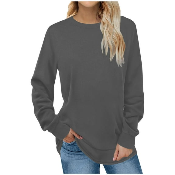 Patlollav Womens Casual Round Neck Long Sleeve Pullover Colorblock Tops Blouse