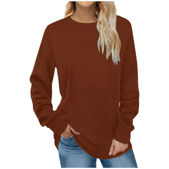 Patlollav Womens Casual Round Neck Long Sleeve Pullover Colorblock Tops Blouse