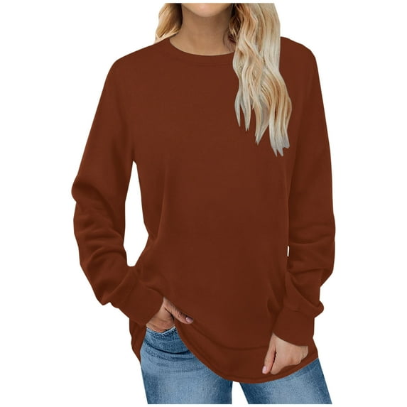 Patlollav Womens Casual Round Neck Long Sleeve Pullover Colorblock Tops Blouse