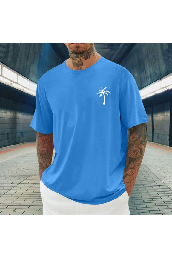 Mens Crew Neck T Shirt Short Sleeve Casual Summer Basic Tee Slim Fit Workout T-Shirts