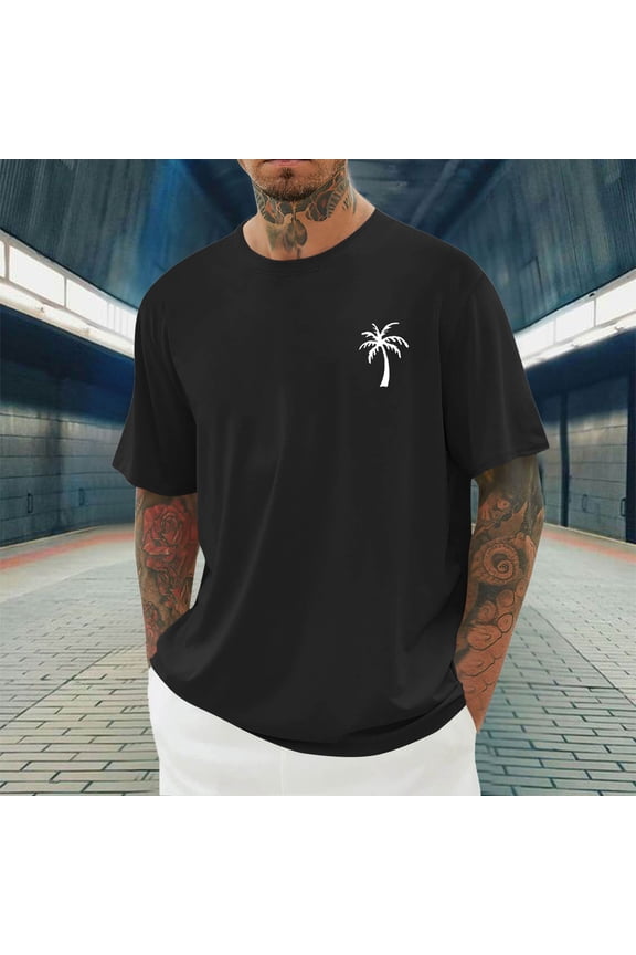 Mens Crew Neck T Shirt Short Sleeve Casual Summer Basic Tee Slim Fit Workout T-Shirts