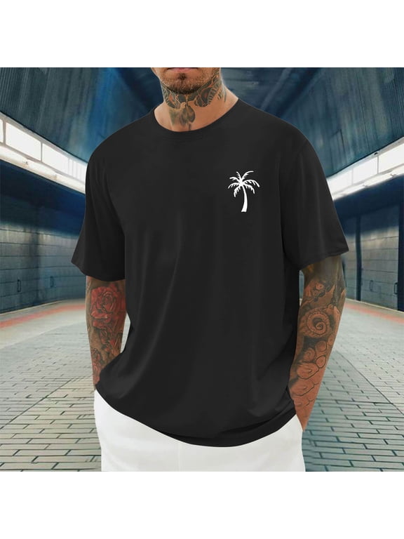 Mens Crew Neck T Shirt Short Sleeve Casual Summer Basic Tee Slim Fit Workout T-Shirts