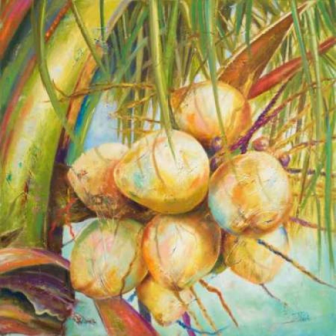 Patricias Coconuts I Canvas Art - Patricia Pinto (24 x 24)
